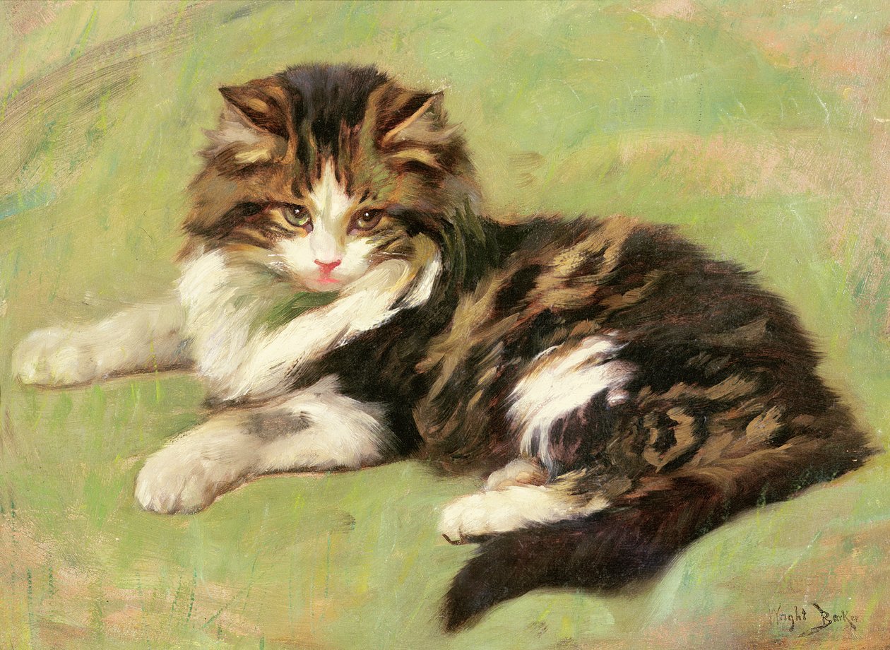 V klidu od Wright Barker