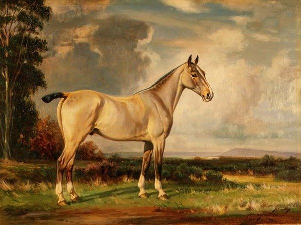 Portrét Páv od Wright Barker