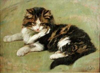 Studie kočky (olej na palubě) od Wright Barker