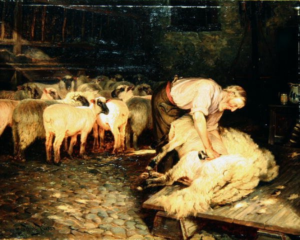 The Shearer (olej na plátně) od Wright Barker