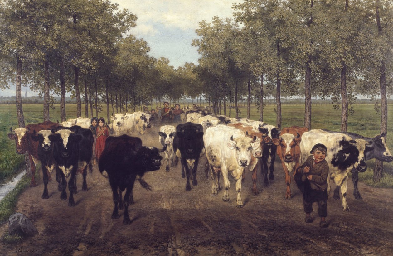 Meersstraat v Gentu od Xavier de Cock