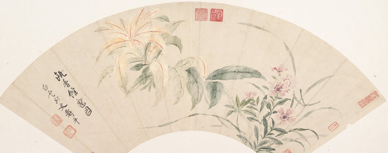 Karafiáty a Amaranthus. od Shouping Yun