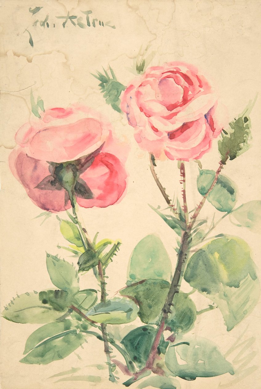 Dvě růže, ca. 1884-1904. od Zacharie Astruc