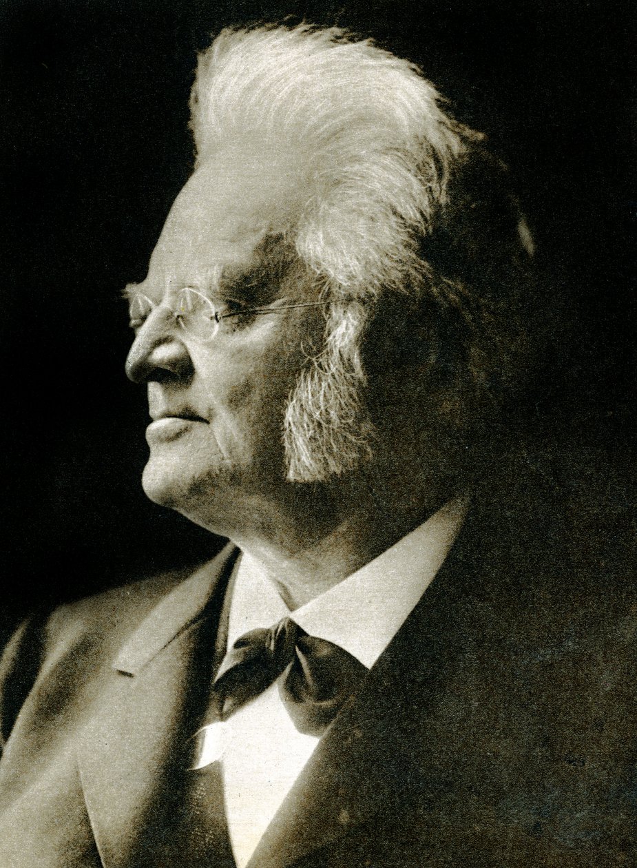 Bjornstjerne Bjornson (hlubotisk) od Hippolyte Lalaise Devéria