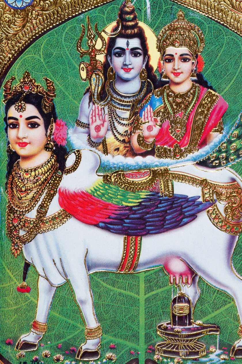Hinduistický bůh Šiva a bohyně Parvati. od . .