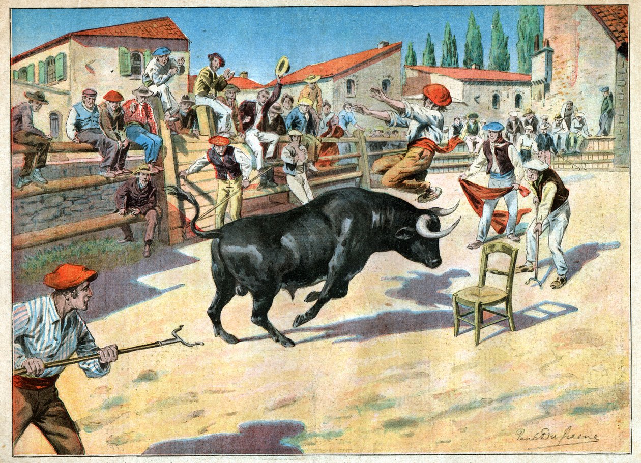 Býci v Camargue. Býčí zápasy v Camargue. od John Pardon