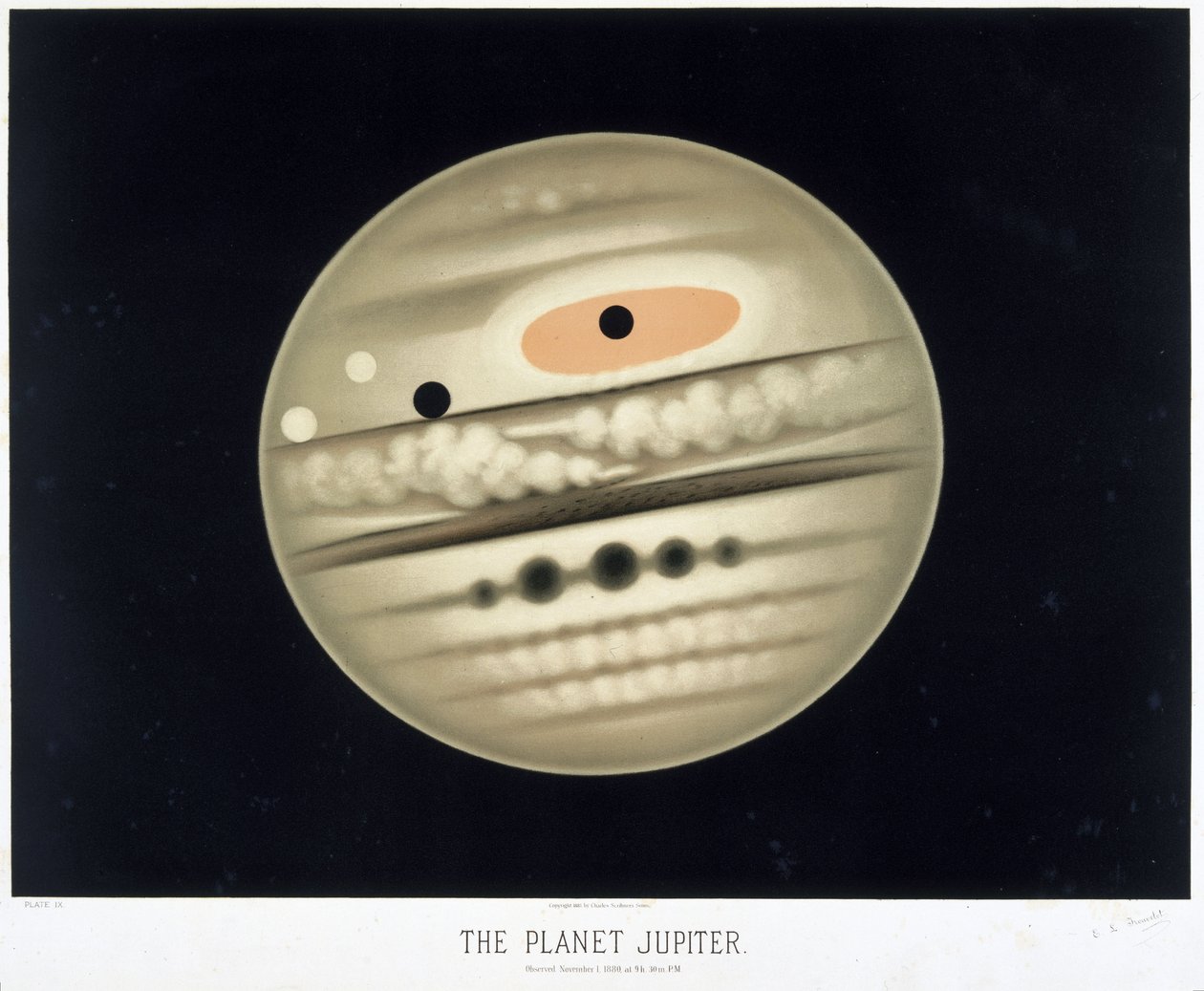 Planeta Jupiter od Frederick (attr. to) Barnard