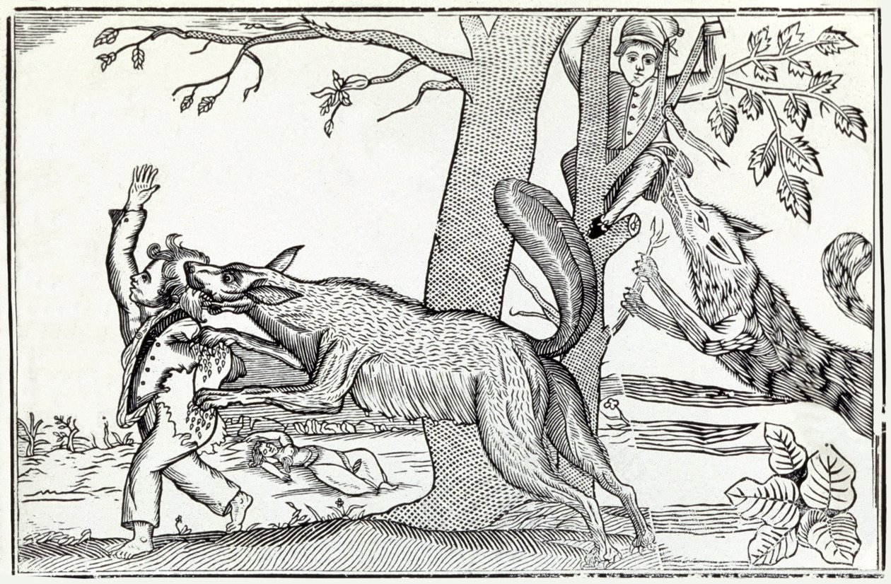 Vlk kolem roku 1820 (rytina) od . .