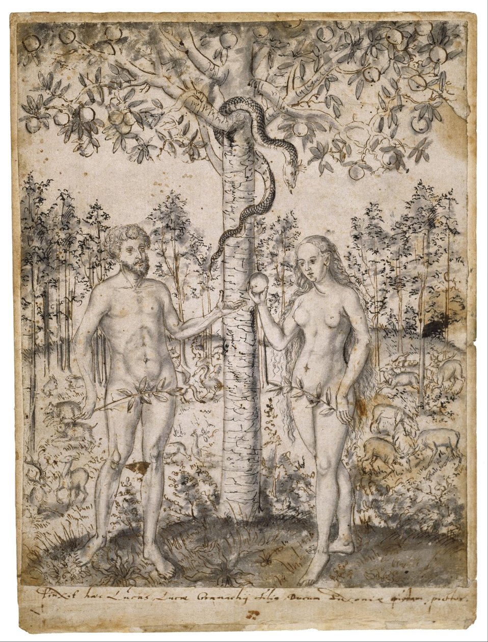 Pád člověka od after Lucas Cranach the Younger