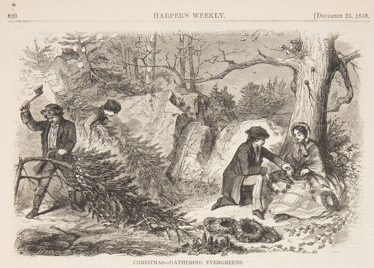 Vánoce – sběr evergreenů od after Winslow Homer