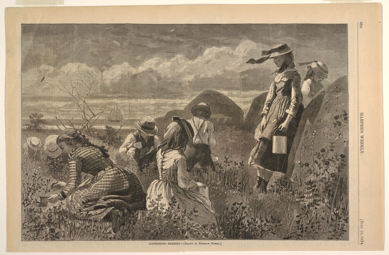 Sběr bobulí od after Winslow Homer