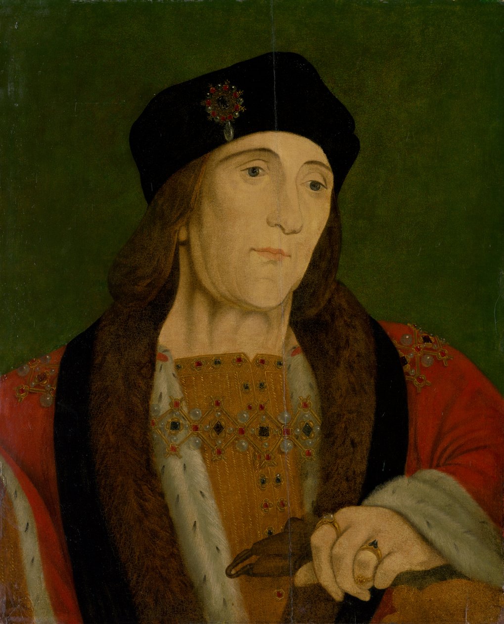 Slovensky: podobizna Jindřicha VII. od anonymous 