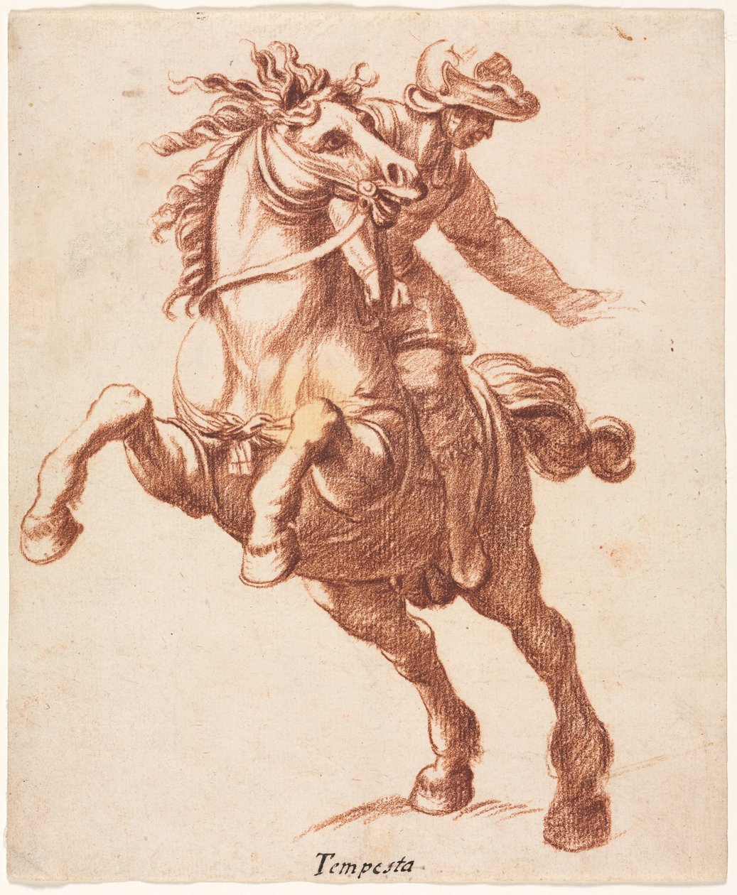 Chov koně a jezdce od attributed to Antonio Tempesta