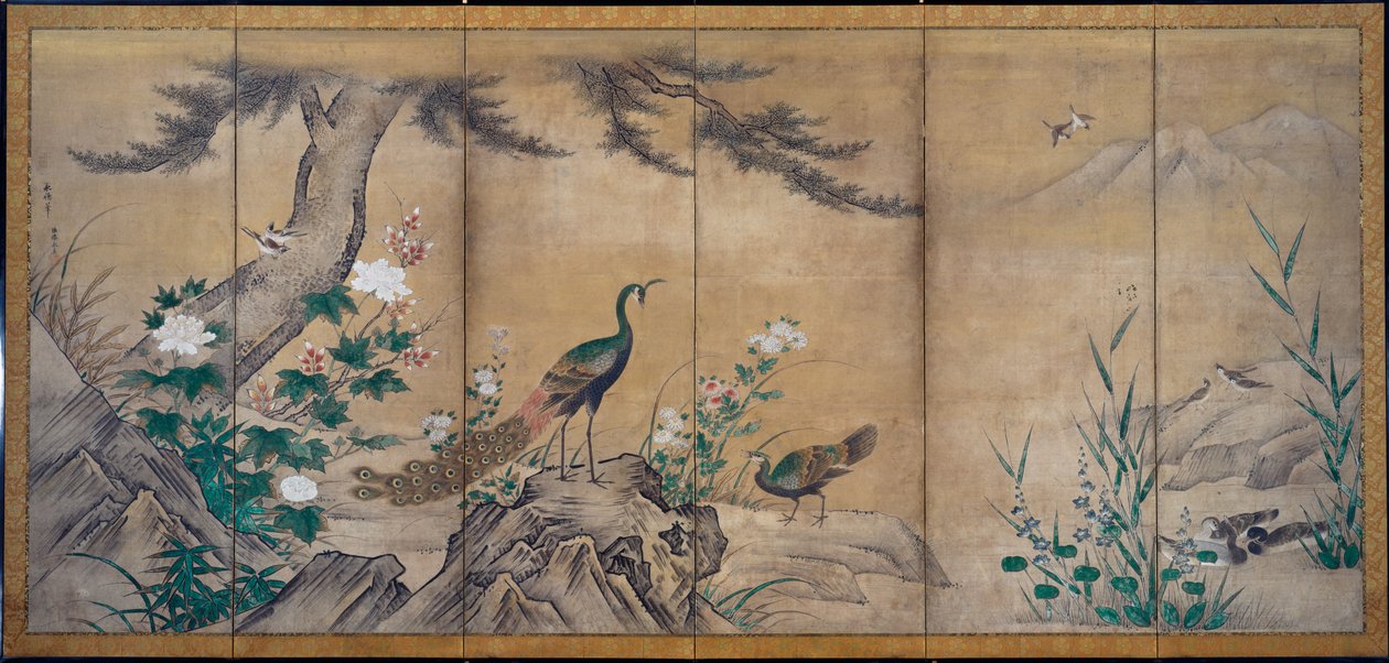 Ptáci a květiny od attributed to Kano Mitsunobu