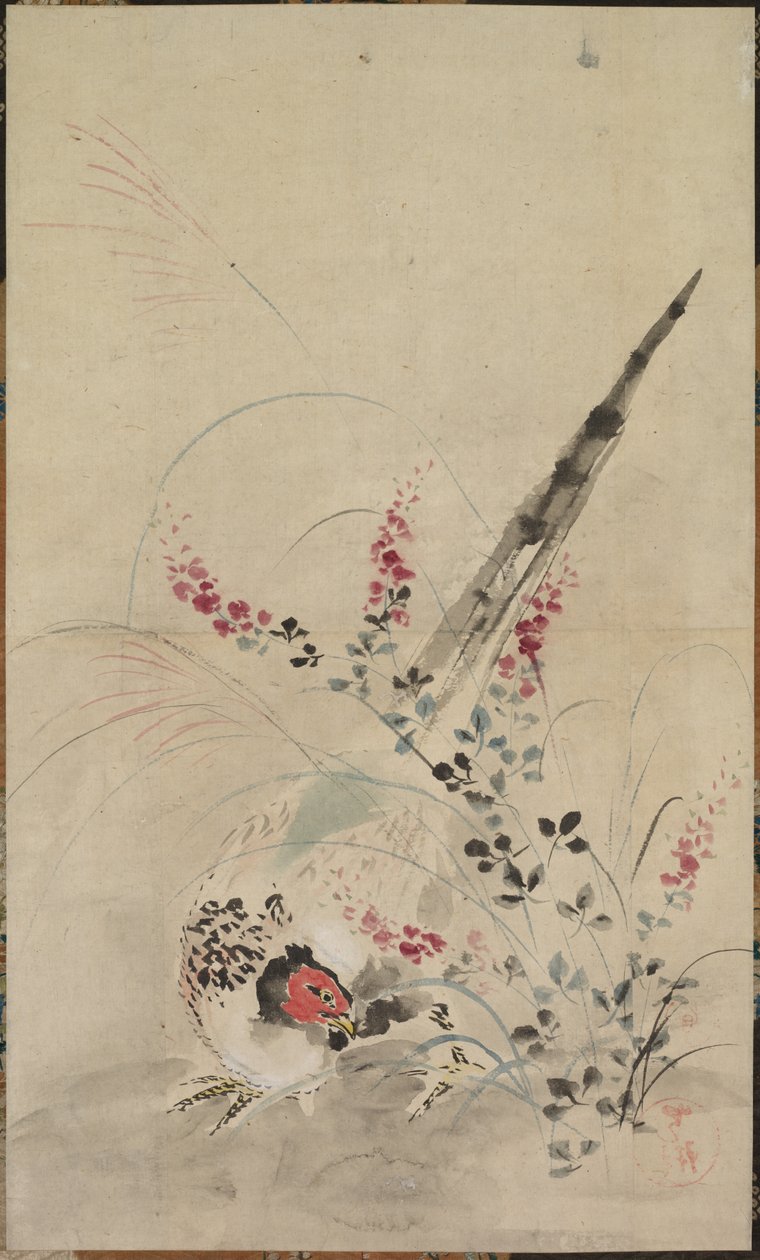 Bažant a trávy od attributed to Ogata Kōrin