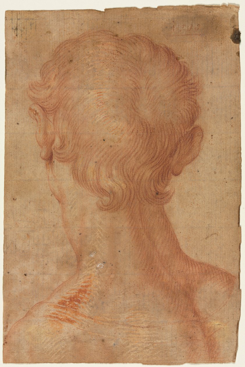 Mužská hlava zezadu od copy after Agnolo Bronzino
