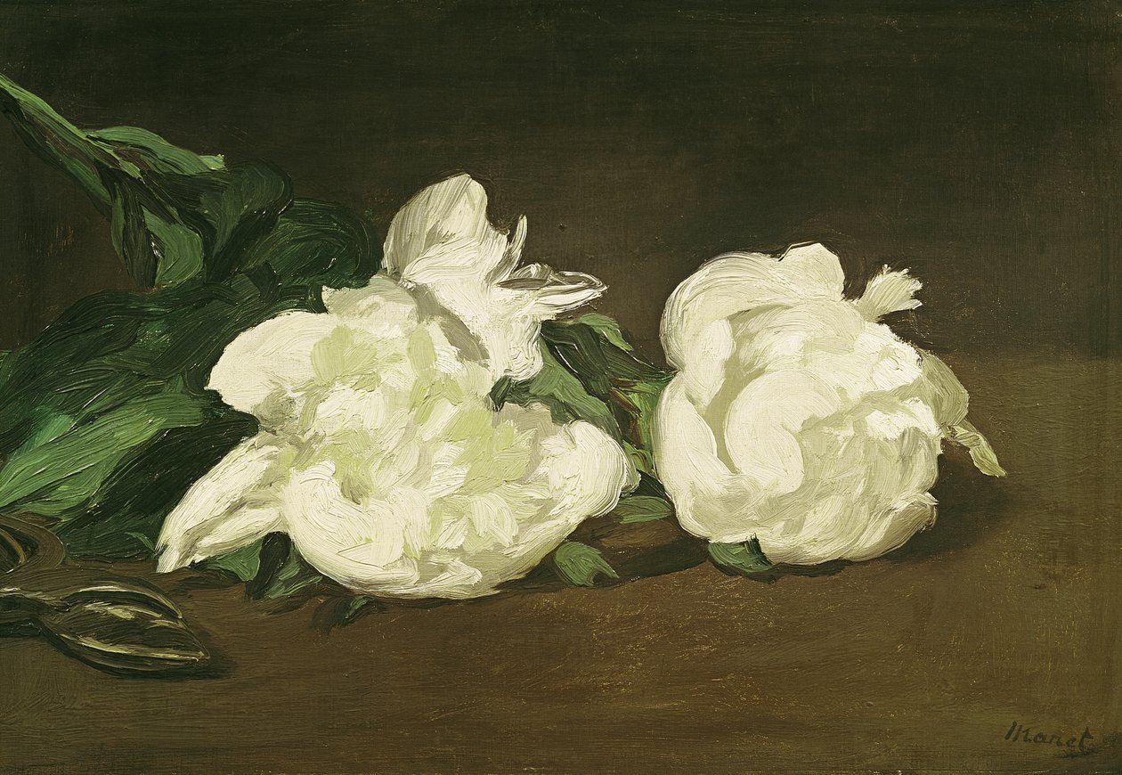 Větev bílých pivoněk a zahradnických nůžek, 1864 od Édouard Manet