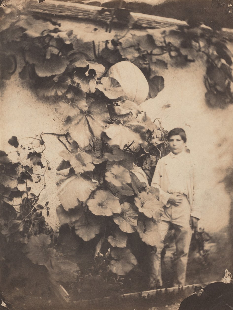 Chlapec s dýňovou révou, 1854 (foto) od freres Varin
