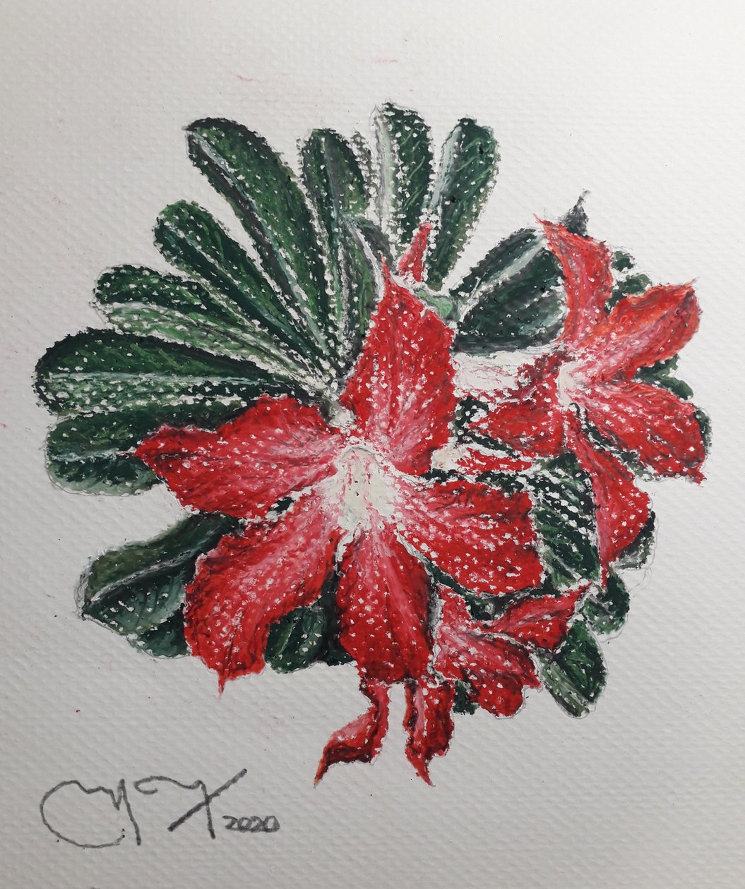 DESERT FLOWER od miguelmendez_art.ve