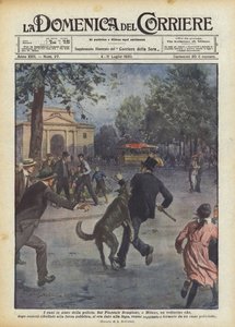 Psi na pomoc policii
