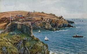 Fowey, hrad St Catherines