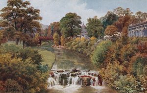 Zahrady, Buxton