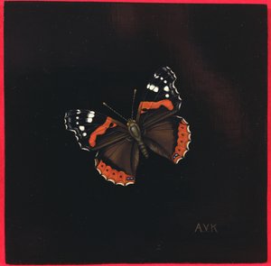 Červený admirál motýl, 2001