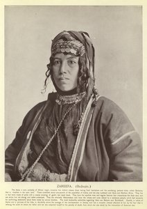 Zareefa, beduín