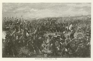 Bitva u Sadowy, 3. července 1866