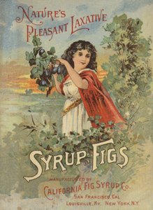 Lady Picking Figs