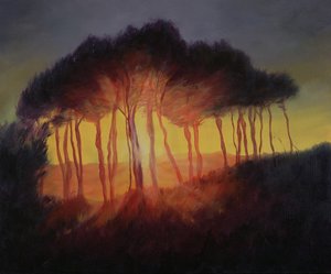 Divoké stromy při západu slunce, 2002