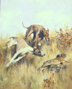Greyhounds Giving Chase (kvaš na papíře)