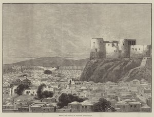 Herat, hlavní město západního Afghánistánu
