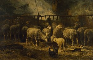 Velký ovčín, 1881