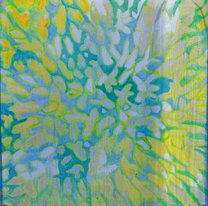 Acrapora, 2000 (olej na gesso)