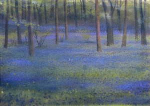 Bluebell Wood (pastel na papíře)