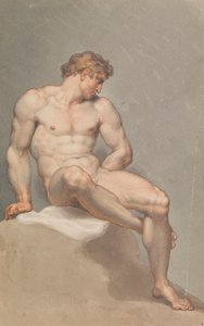 Studie mužského aktu