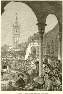 Lístek ve stínu.-- Seville Býčí aréna