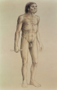 Homo erectus (tužka na papíře)