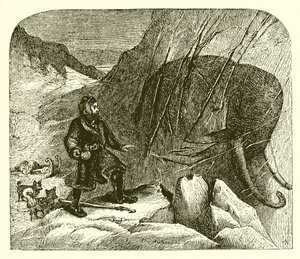 Mamut v ledu
