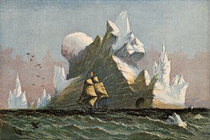 Ledovec