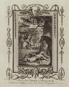 Náhodná smrt Viléma II