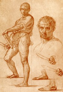 Studie na svatého Bartoloměje
