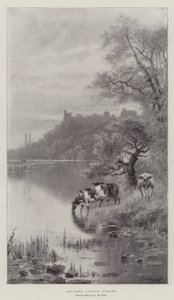Zámek Arundel, Sussex