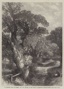 Country Lane v Surrey