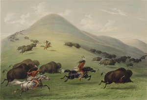 Buffalo Hunt