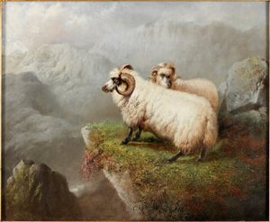 Ovce na okraji útesu, cca 1865-68