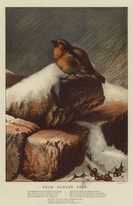 From Danger Free (chromolitho)