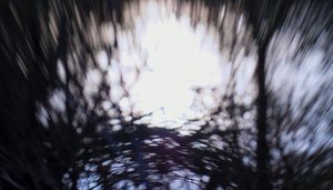 Vodní tapiserie III, 2017, (manipulovaná fotografie)