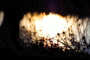 Vodní tapiserie II, 2017, (manipulovaná fotografie)